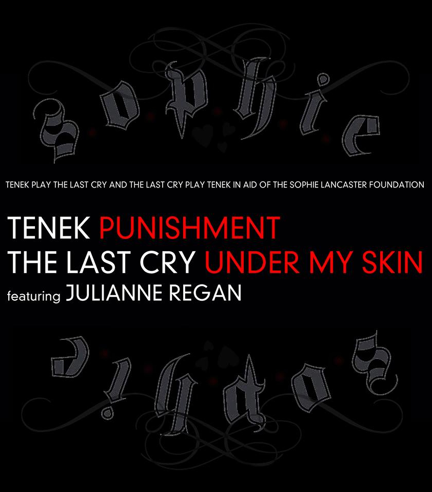 The Last Cry TENEK Julianne Regan